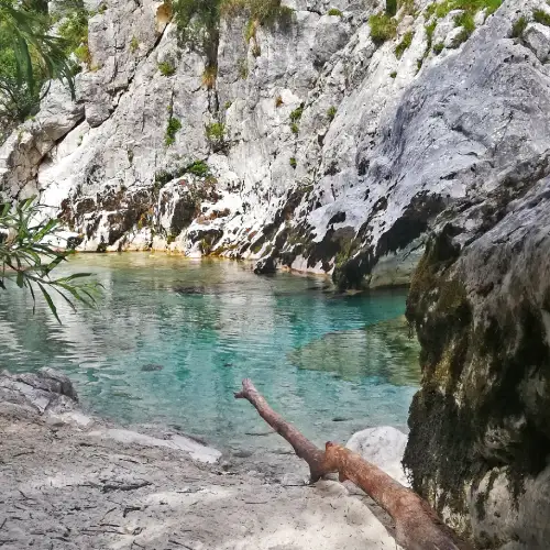 .Enchanted Terraces Half-Dat Trip