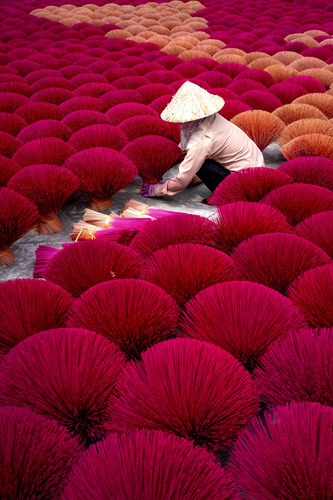 pexels-quang-nguyen-vinh-222549-6346785 (1)