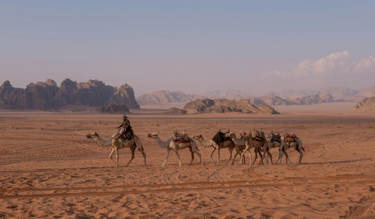 Sunset Camel Trekking in Dubai