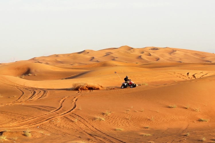 Morning Desert Safari with Quad Biking